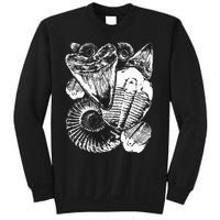 Fossil Hunter Paleontologist Fossil Hunting Sweatshirt