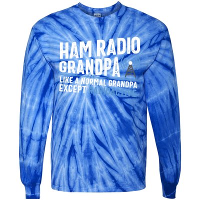 Funny Ham Radio Operator Antenna Amateur Radio Tee Funny Gift Tie-Dye Long Sleeve Shirt