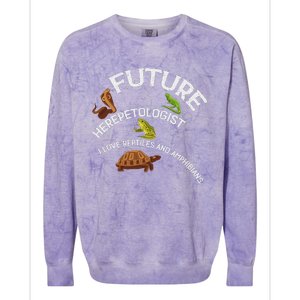 Future Herpetologist Reptiles And Amphibians Biology Insects Colorblast Crewneck Sweatshirt