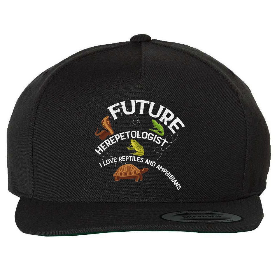 Future Herpetologist Reptiles And Amphibians Biology Insects Wool Snapback Cap