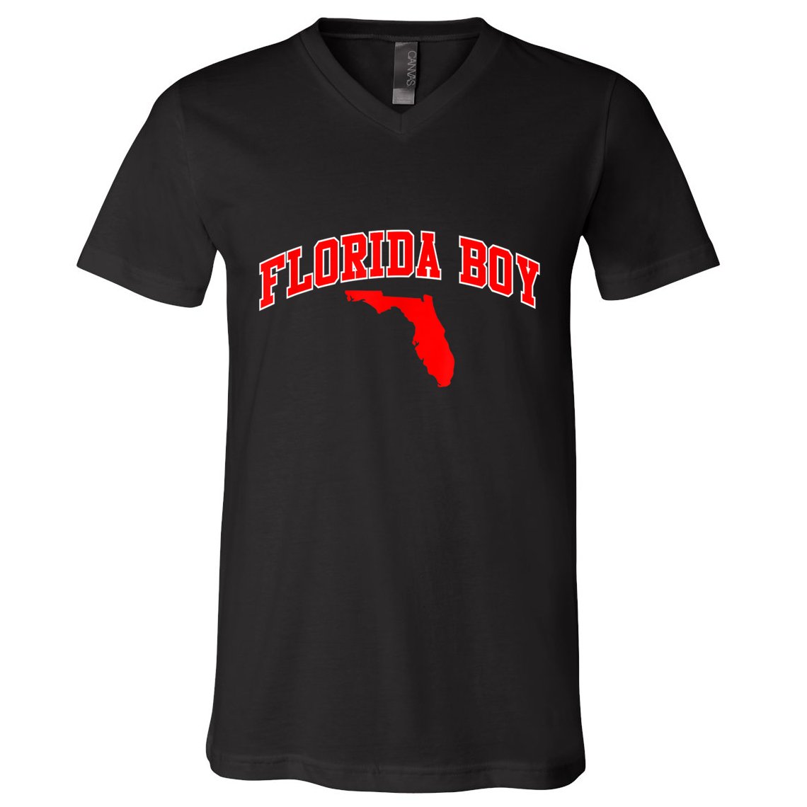 Floridian Home State Florida Boy V-Neck T-Shirt
