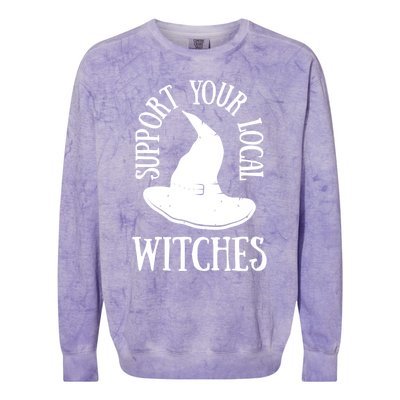 Funny Halloween Support Your Local Witches Funny Gift Colorblast Crewneck Sweatshirt