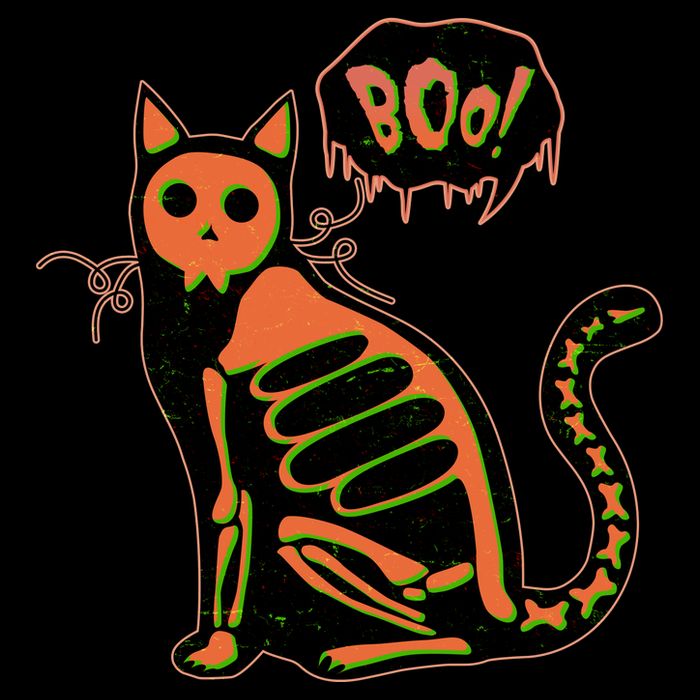 Funny Halloween Skeleton Cat Drawstring Bag