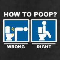 Funny How To Poop Pooping Position Premium Pullover Hoodie