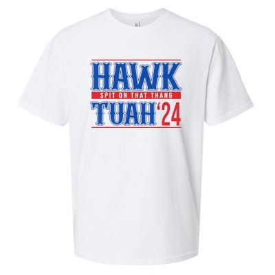 Funny Hawk Tuah 24 Sayings Design Sueded Cloud Jersey T-Shirt