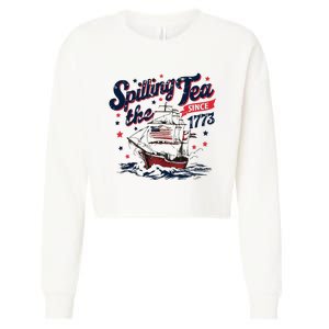 Funny History Teacher 4th July Cropped Pullover Crew