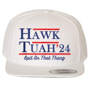 Funny Hawk Tuah 24 Wool Snapback Cap