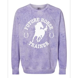 Future Horse Trainer For  Colorblast Crewneck Sweatshirt