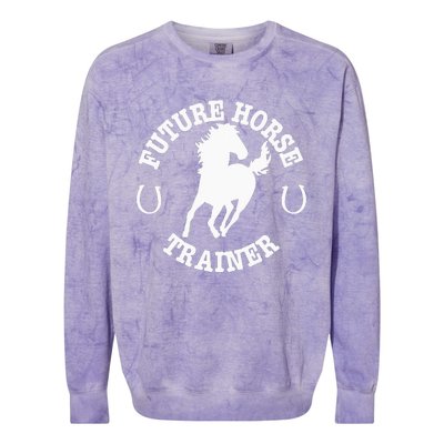 Future Horse Trainer For  Colorblast Crewneck Sweatshirt