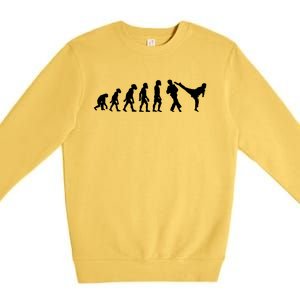 Funny Human Taekwondo Fighter Evolution Korean Sparring Premium Crewneck Sweatshirt