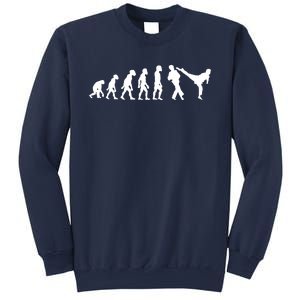 Funny Human Taekwondo Fighter Evolution Korean Sparring Sweatshirt