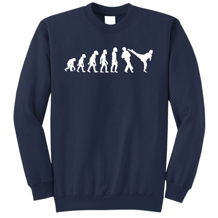 Funny Human Taekwondo Fighter Evolution Korean Sparring Sweatshirt