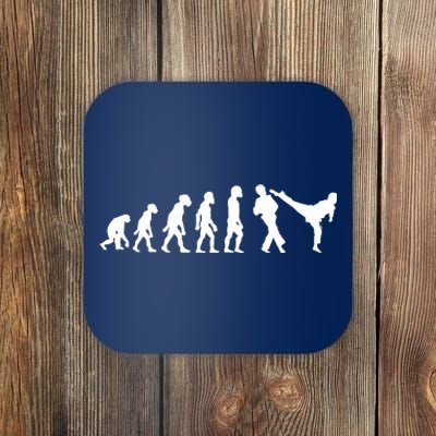 Funny Human Taekwondo Fighter Evolution Korean Sparring Coaster