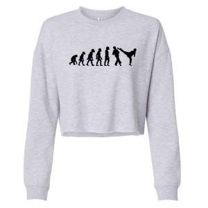 Funny Human Taekwondo Fighter Evolution Korean Sparring Cropped Pullover Crew