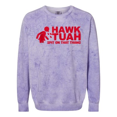 Funny Hawk Tuah 24 Spit On That Thang 2024 Colorblast Crewneck Sweatshirt