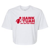 Funny Hawk Tuah 24 Spit On That Thang 2024 Bella+Canvas Jersey Crop Tee