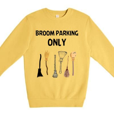 Funny Halloween Witch Lovers Costume Broom Parking Only Gift Premium Crewneck Sweatshirt