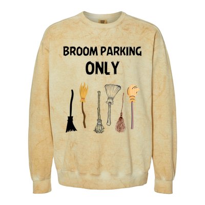 Funny Halloween Witch Lovers Costume Broom Parking Only Gift Colorblast Crewneck Sweatshirt