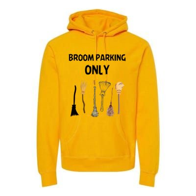 Funny Halloween Witch Lovers Costume Broom Parking Only Gift Premium Hoodie