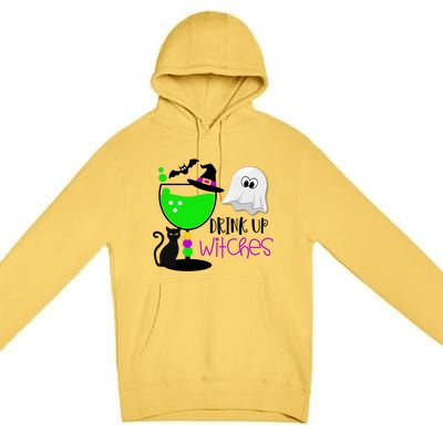 Funny Halloween Witches Gift Up Witches Gift Premium Pullover Hoodie