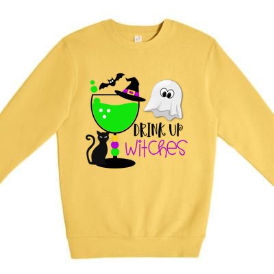 Funny Halloween Witches Gift Up Witches Gift Premium Crewneck Sweatshirt