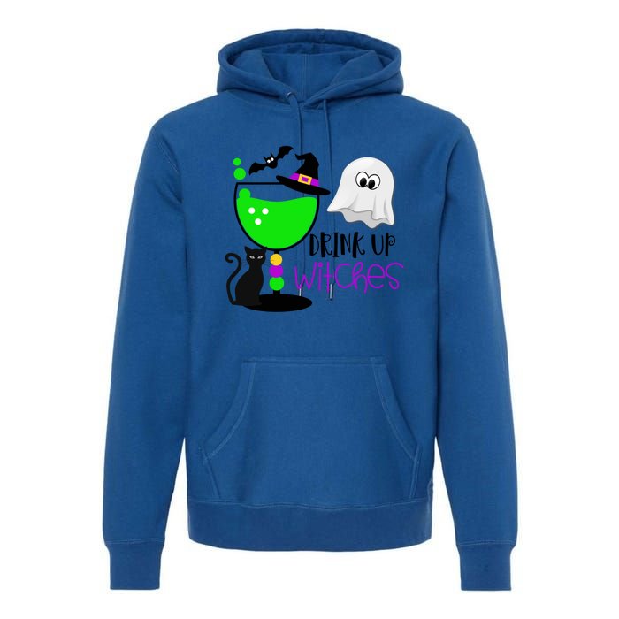 Funny Halloween Witches Gift Up Witches Gift Premium Hoodie