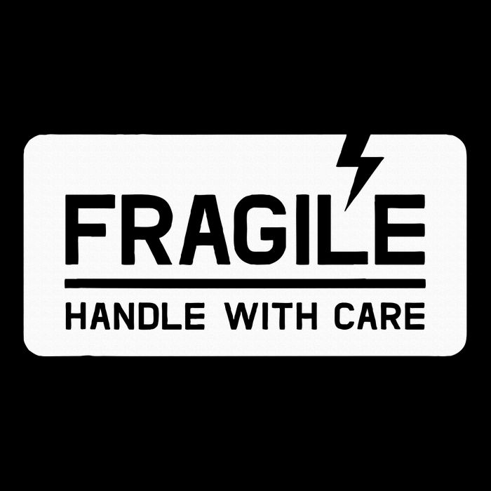 Fragile Handle With Care Kids T-Shirt