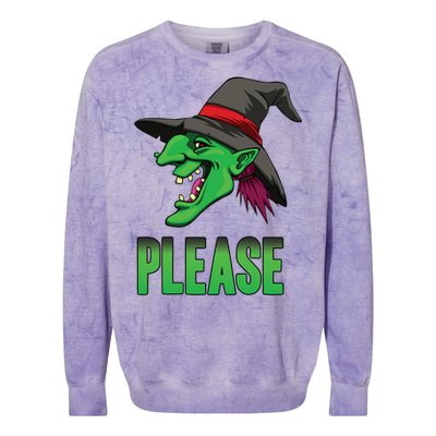 Funny Halloween Witch Please Gift Colorblast Crewneck Sweatshirt