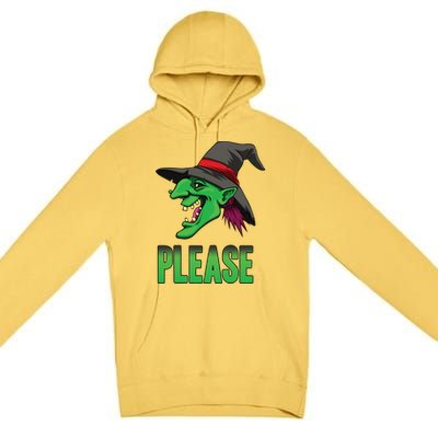 Funny Halloween Witch Please Gift Premium Pullover Hoodie