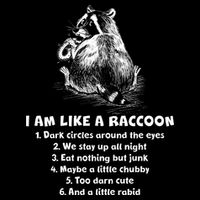 Funny I Am Like A Raccoon Cropped Pullover Crew