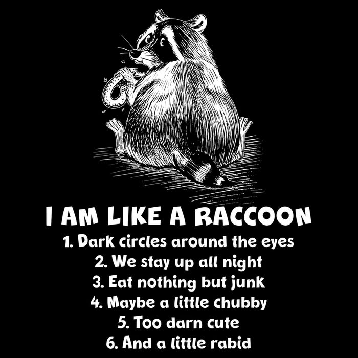 Funny I Am Like A Raccoon Cropped Pullover Crew