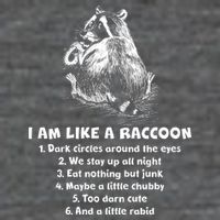 Funny I Am Like A Raccoon Baby Bodysuit