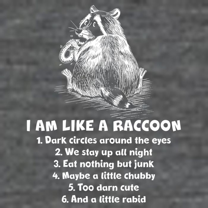 Funny I Am Like A Raccoon Baby Bodysuit