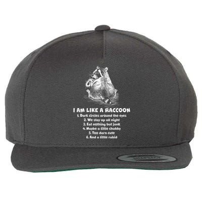 Funny I Am Like A Raccoon Wool Snapback Cap