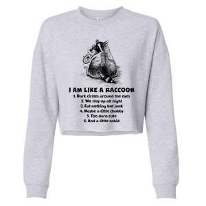 Funny I Am Like A Raccoon Cropped Pullover Crew