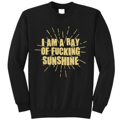 Funny I Am A Ray Of Fucking Sunshine Sweatshirt