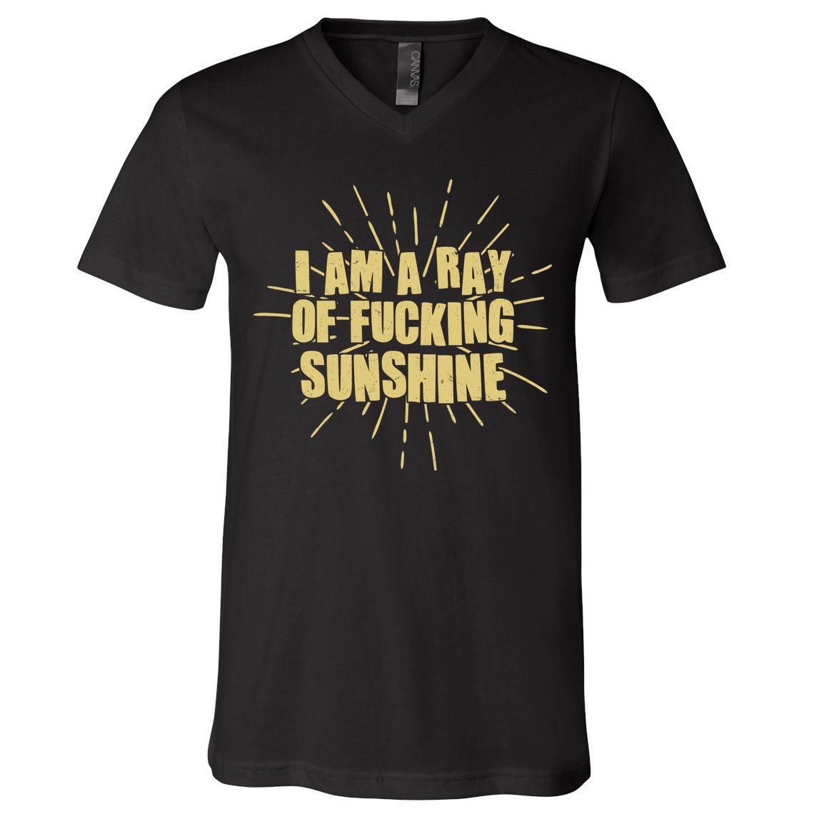Funny I Am A Ray Of Fucking Sunshine V-Neck T-Shirt