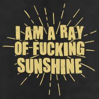 Funny I Am A Ray Of Fucking Sunshine Adult Drive Performance Visor