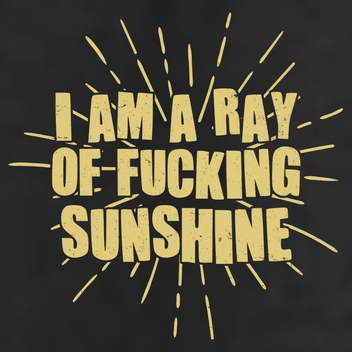 Funny I Am A Ray Of Fucking Sunshine Adult Drive Performance Visor