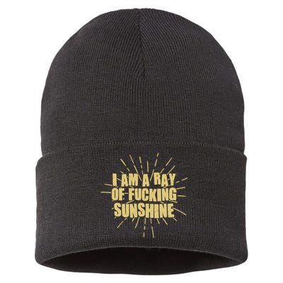 Funny I Am A Ray Of Fucking Sunshine Sustainable Knit Beanie