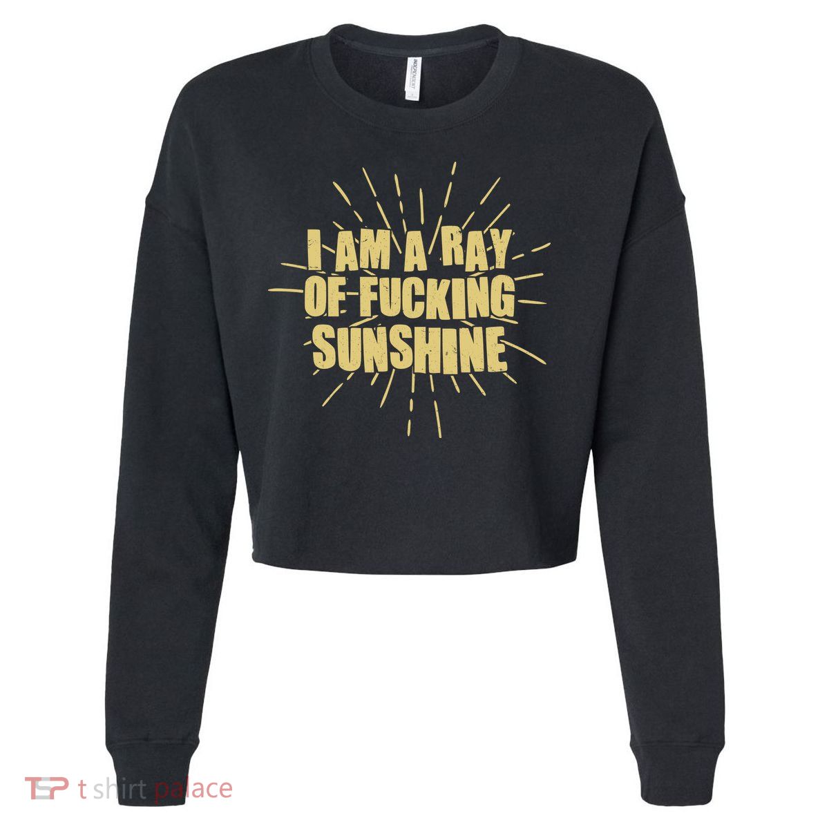 Funny I Am A Ray Of Fucking Sunshine Cropped Pullover Crew