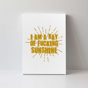 Funny I Am A Ray Of Fucking Sunshine Canvas