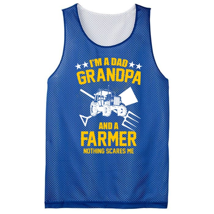 Farmer Im A Dad Grandpa And A Farmer Nothing Scares Me Meaningful Gift Mesh Reversible Basketball Jersey Tank