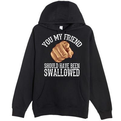Funny Inappropriate Adult Humor Sarcastic Sex Premium Pullover Hoodie