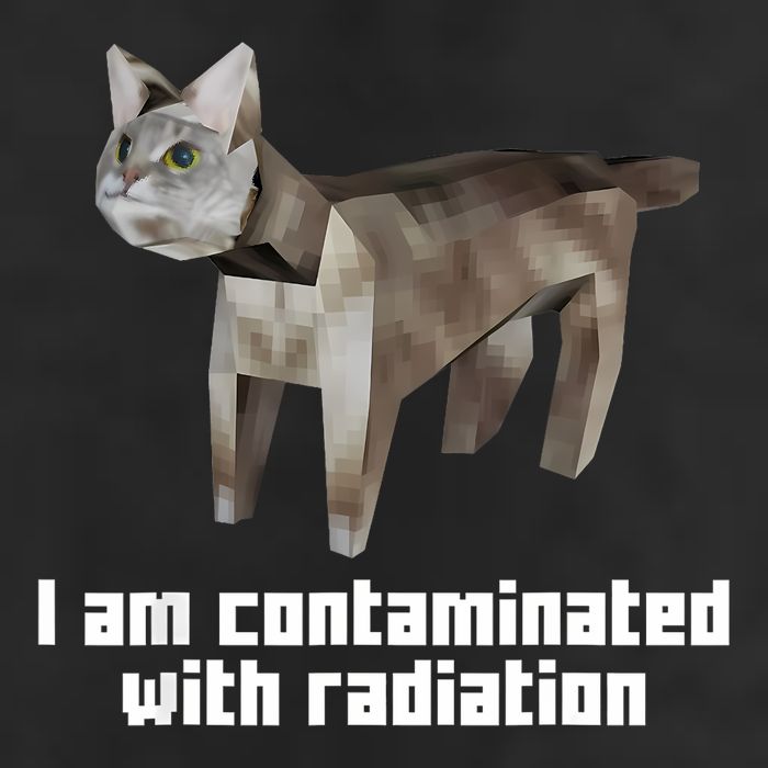 Funny I Am Contaminated With Radiation Ironic Cat Meme 15oz Campfire Ceramic Mug