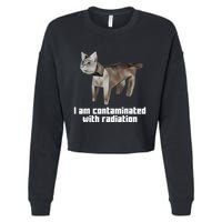 Funny I Am Contaminated With Radiation Ironic Cat Meme Cropped Pullover Crew