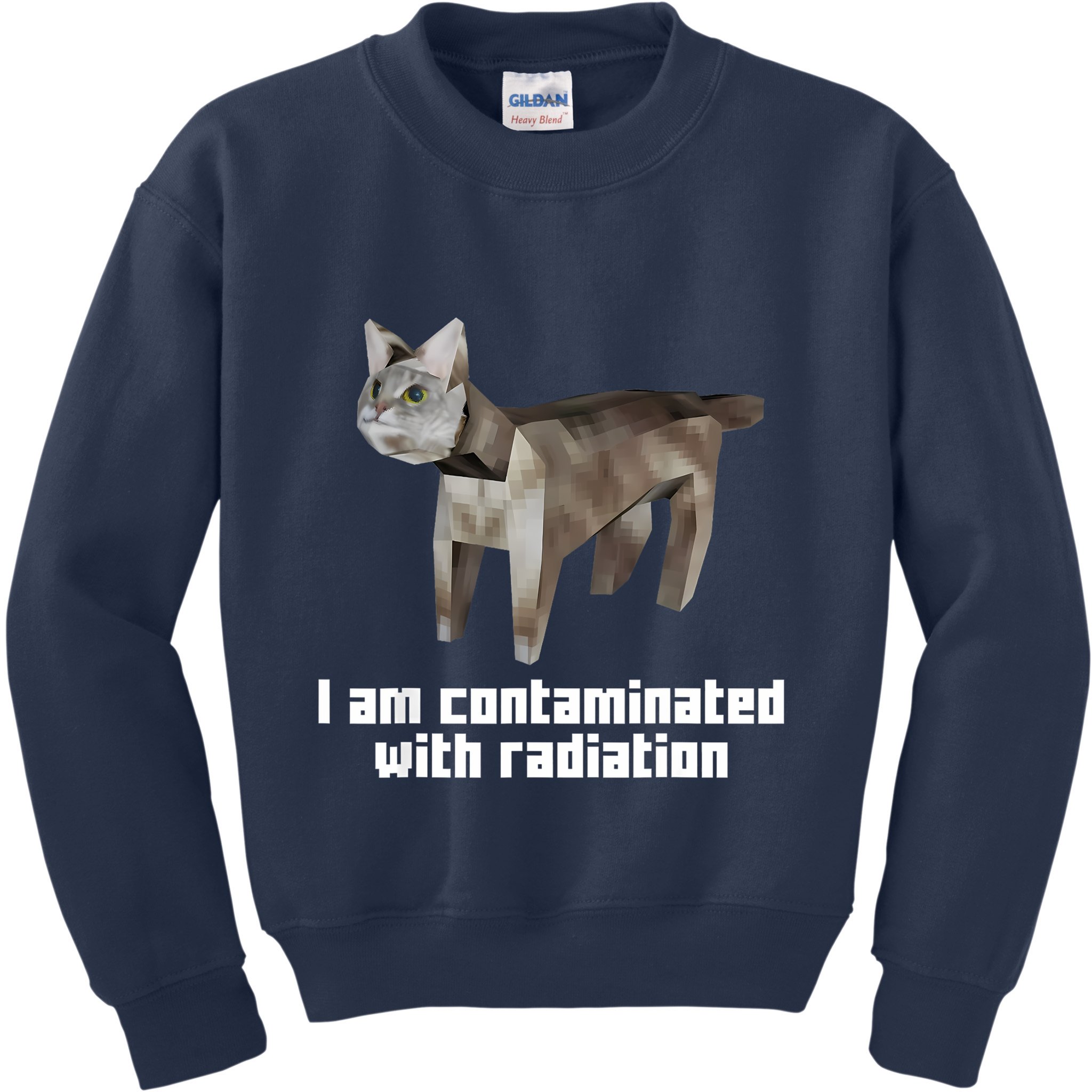 Funny I Am Contaminated With Radiation Ironic Cat Meme Kids Sweatshirt