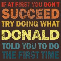 Funny If At First You Dont Succeed Try Doing What Donald Told You To Do T-Shirt