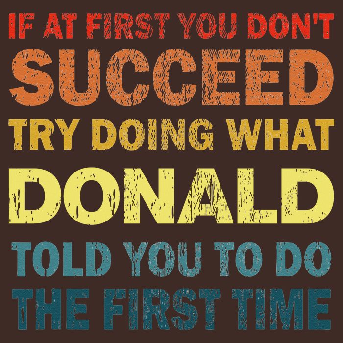Funny If At First You Dont Succeed Try Doing What Donald Told You To Do T-Shirt
