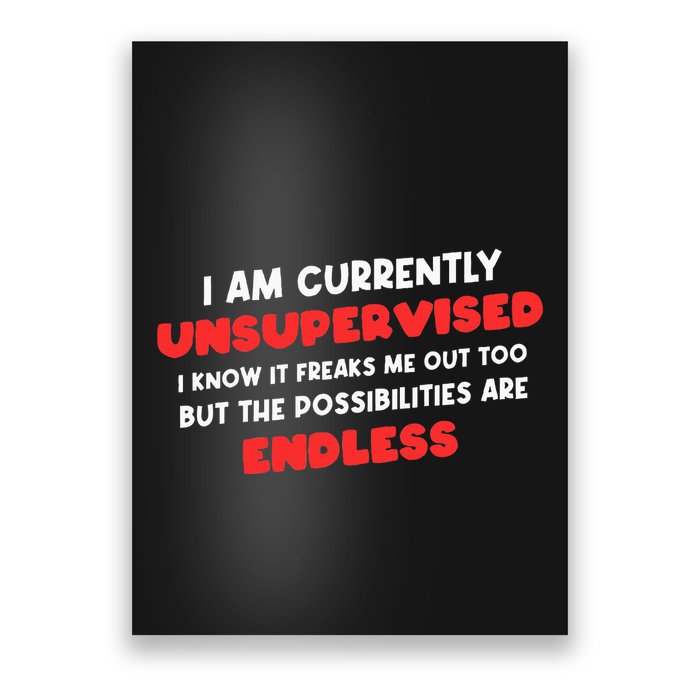 Funny I Am Currently Unsupervised I Know It Freaks Me Poster